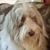 Wanda Burkey Hamilton's profile image