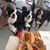 Sallie Humphries's profile image