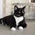 Nancy Ashby's profile image