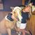 Megan Sank's profile image