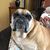 Ernie Johnston's profile image