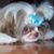 Helene Langman's profile image