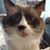Jeri Batdorf's profile image