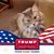 Sherree Davenport's profile image