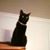 Annette Wilson-Barnett's profile image