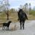 Tracy Fairhurst's profile image