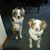 Sandy Barrett George's profile image
