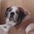 Dee Bly's profile image