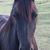 Tammy LeBleu's profile image