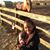 Dawna Fox Twyman's profile image
