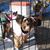 Rene Silva's profile image