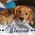 Kristin Williams's profile image