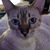 Pam Hamby Sechrest's profile image