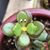 Naomi Watrous's profile image