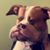 Victor Banuelos's profile image