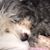 Pamelita Rivera's profile image