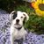 Dolores Tilbrook's profile image