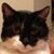 Masayo Yoshida's profile image