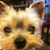 Peggy Kavka's profile image