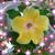 Myriam Hernandez's profile image