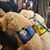 Shirley Jo Grierson's profile image