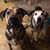 Joyce Yarnall-Smith's profile image