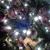 Joyce Marston Shirley's profile image