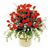 Tanvi8025's profile image