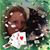 Pamela Halbrook's profile image