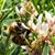 Traci Brown Northrup's profile image