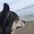 Rodger Ozburn's profile image