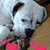 Lynn Stanions's profile image