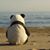 Vag Tsisma's profile image