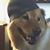 Susan Bullen Nanni's profile image