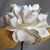 Gayle Sigal Soeder's profile image