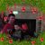 Lisa Becker Bennett's profile image