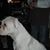 Craig Bignell's profile image