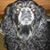Zephyr Anvkin's profile image