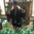 Sandy Lewis's profile image