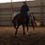 Kelly Jecmen's profile image