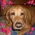 Lucy Russell's profile image