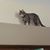 Lyndsay Hafferty's profile image