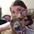 Caitlyn Marquis's profile image