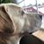 Ann Jensen Belisle's profile image