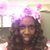 Latasha Wilds's profile image