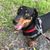 Arlene Rios Creighton's profile image