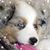 Tammie Cyr's profile image