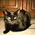 Bill Lipper's profile image