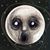 David P. Ridgway's profile image