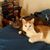 Kathy Benoit's profile image